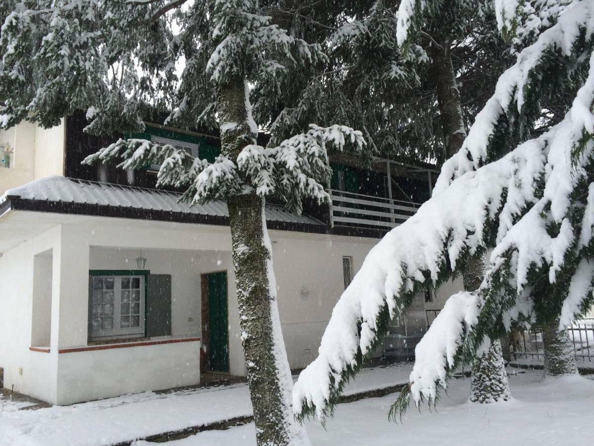 Villa Capuano B&B กามิลยาเตลโล ซีลาโน ภายนอก รูปภาพ